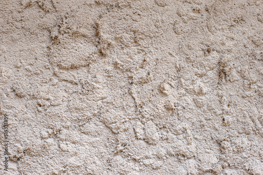 Texture of cement wall for wallpaper or background. Texture of cement wall for wallpaper or background.