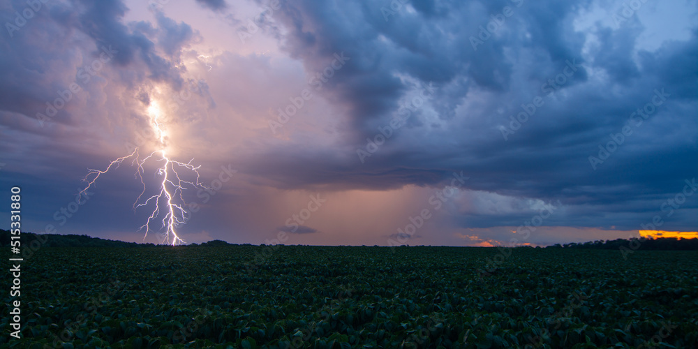 Lightning storm over field in Ukraine