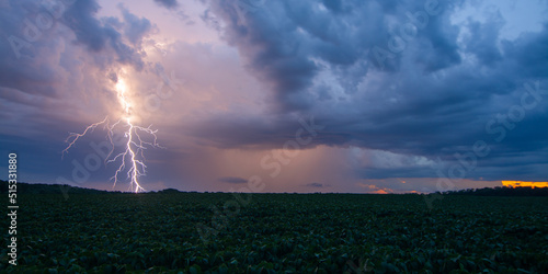 Lightning storm over field in Ukraine