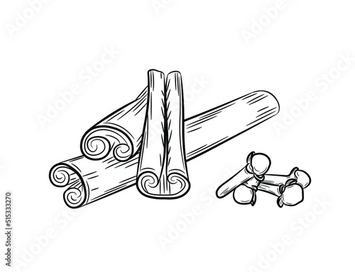 A selection of spices. Set of  cinnamon and cloves. Black line art in hand drawn doodle style. Isolated vector illustration.