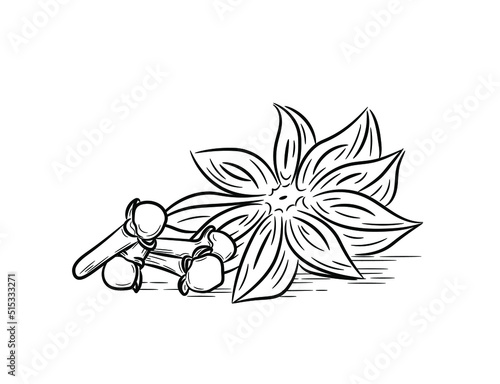 A selection of spices. Set of anise and cloves. Black line art in hand drawn doodle style. Isolated vector illustration.