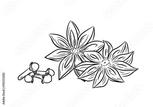 A selection of spices. Set of anise and cloves. Black line art in hand drawn doodle style. Isolated vector illustration.