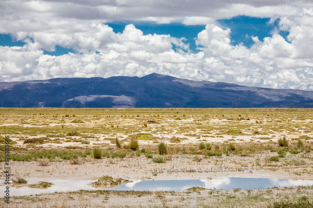 Desert and mountains of Bolivia. Landscapes of the LaPaz - Uyuni Road