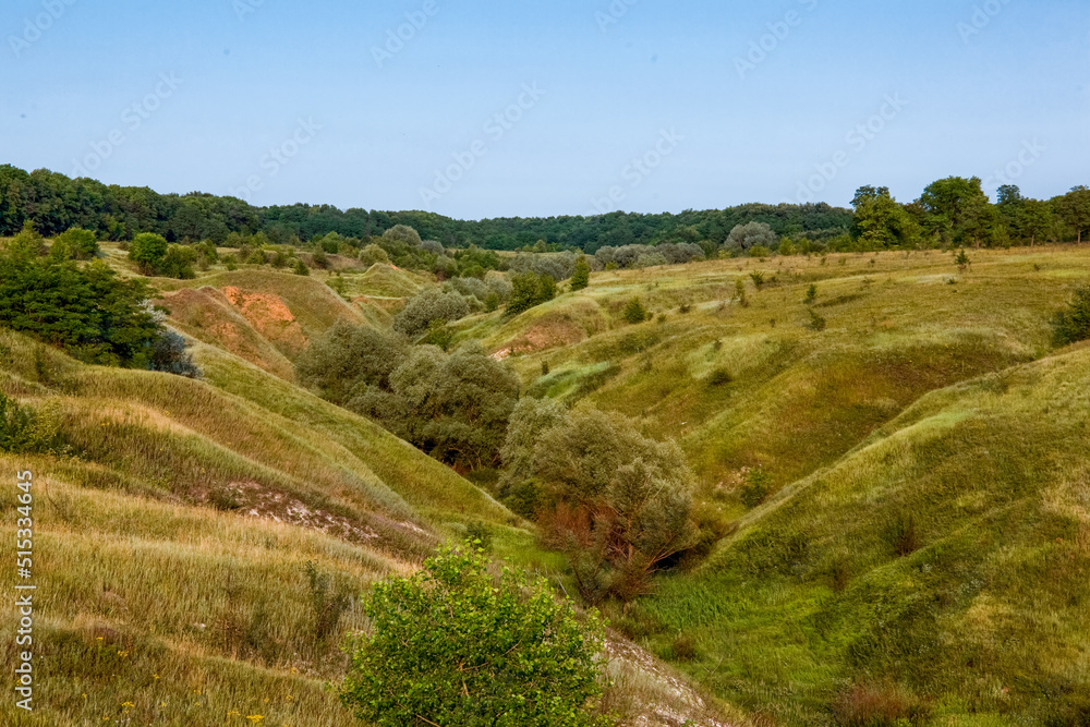 Green meadow and hills under blue sky. Summer background