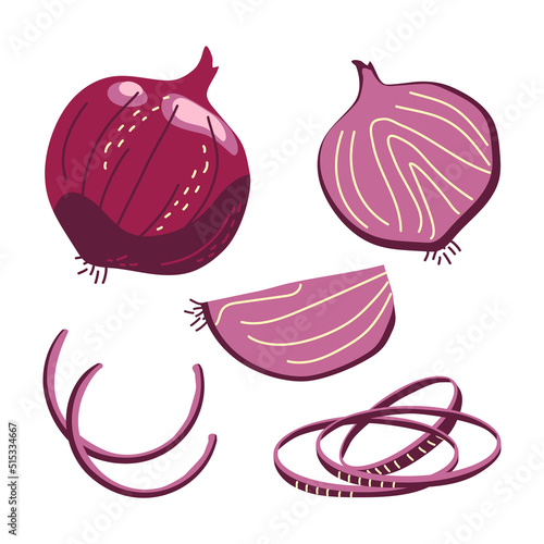 Red onion in whole and sliced form. Vegetables from the garden for health. Onion rings. Vector illustration on a white background in a hand-drawn style