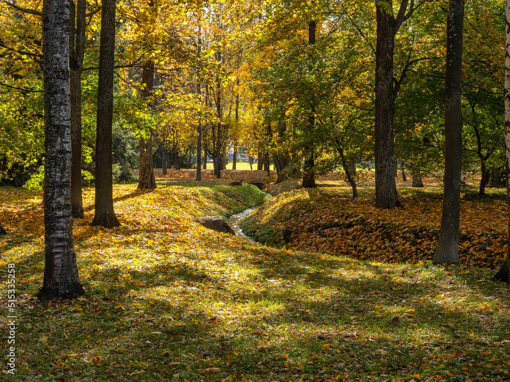 Fototapeta premium Peterhof in autumn, oaks and maples on the alleys of the Nizhniy Park.