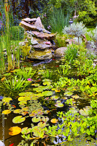 View of a small japanese pond with lillypads, fresh green aquatic plants, reeds and succulents growing in a backyard at home. Tranquil, calm and serene water feature in covered in flora in the garden