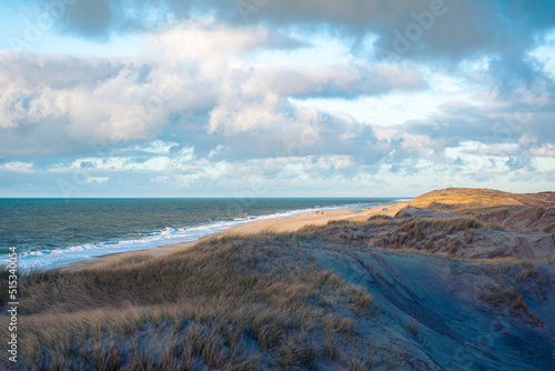 Beach and dunes at the danish coast. High quality photo