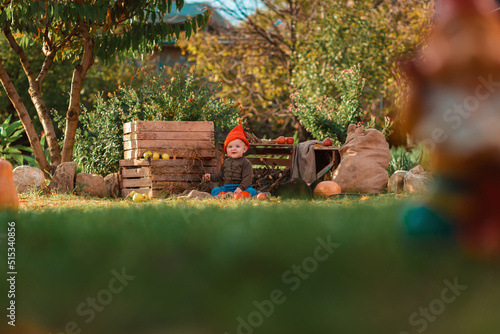 Cute little boy in costume of dwarf sitting in kitchen-garden with harvest. Wooden boxes on the background. Copy space. Halloween