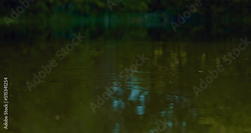 float on water surface of pond, closeup, fisher is hooking fish by rod, 4K, Prores