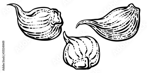 Garlic Vegetable Vintage Wo...