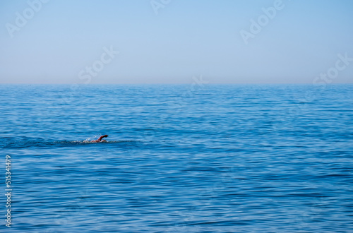 Senior man swimming in the see enjoying active retirement,