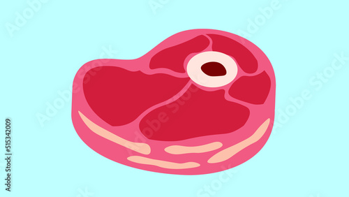 piece of meat on the bone