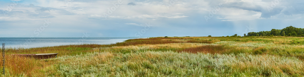 Beautiful scenic landscape view of lush green grassy meadow with white fluffy clouds in blue sky. Cloudscape of farm with greenery. Scenery of a calm empty field in nature. Grassland leading to ocean