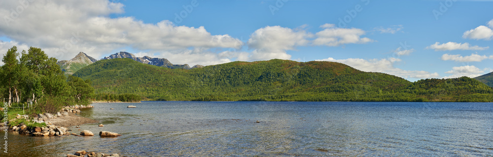 Landscape of a lake with trees near a mountain. Green hills by the seaside with a blue sky in Norway. A calm sea near a vibrant wilderness against a bright cloudy horizon. Peaceful wild nature scene