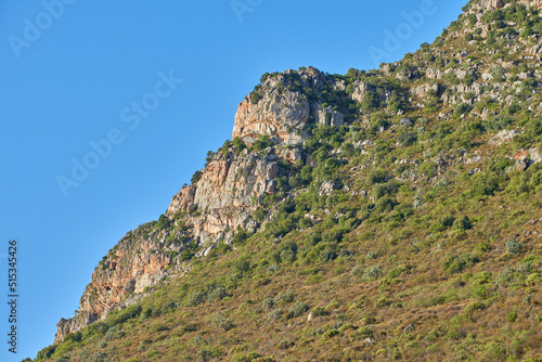 Landscape view of mountains in Hout Bay in Cape Town, South Africa during summer holiday and vacation. Scenic hills, scenery of fresh green flora growing in remote area. Exploring nature and the wild