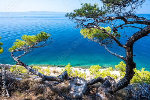 Obraz na płótnie beautiful coast of adriatic sea in Makarska in Dalmatia region in Croatia w salonie