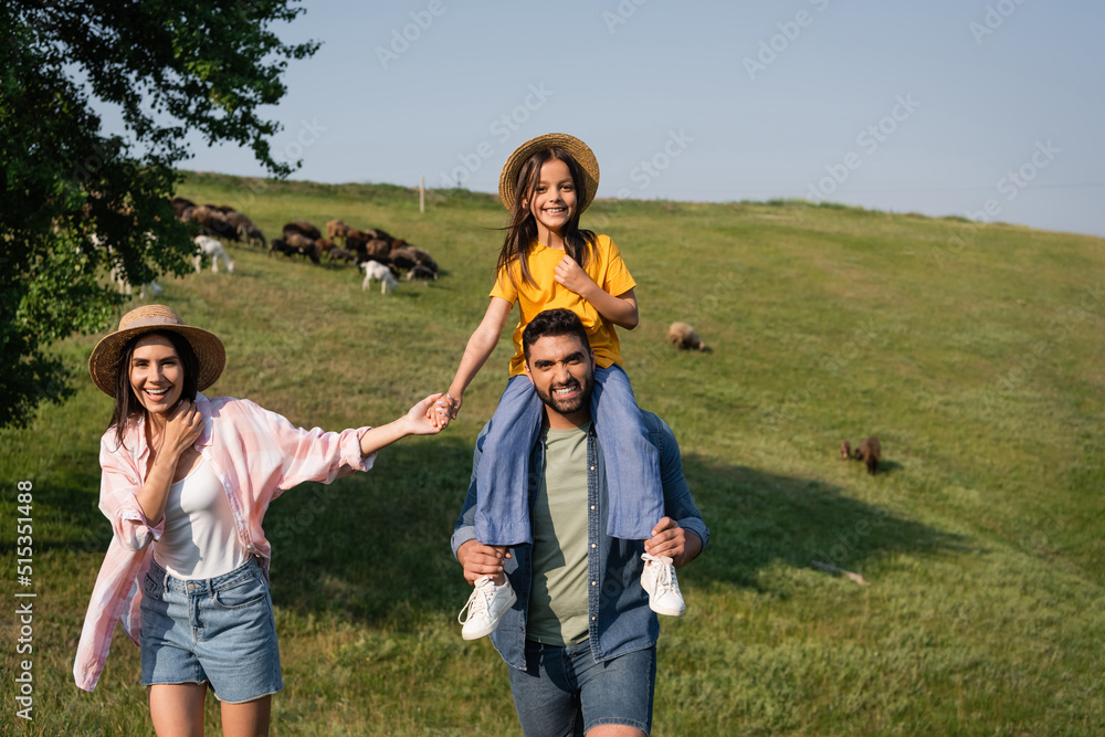 happy woman walking near husband piggybacking daughter in scenic pasture. happy woman walking near husband piggybacking daughter in scenic pasture.