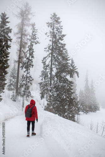 man in red winter coat walking by misty forest trail