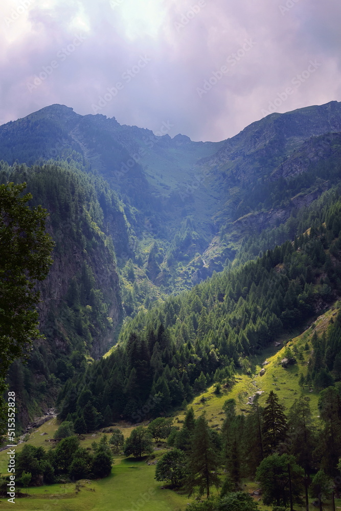 montagna e boschi a gressony italia, mountain and woods in gressoney italy
