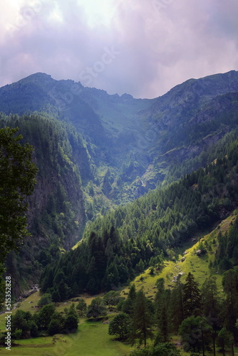 montagna e boschi a gressony italia, mountain and woods in gressoney italy