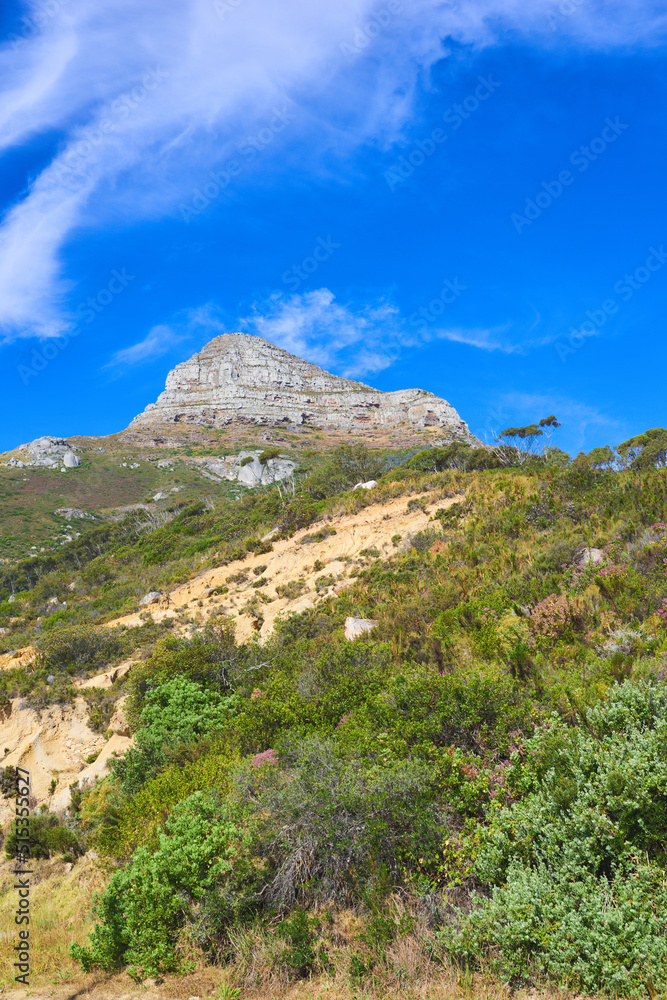 Landscape view of Lions Head mountain in Cape Town, South Africa. Blue sky, clouds over famous hiking, trekking terrain with lush growing plants in remote area. Travel and tourism abroad and overseas