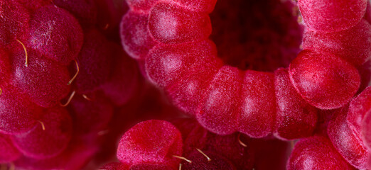 Papier peint photo Photographie macro Framboises fraîches gros plan macro  © Ekaterina