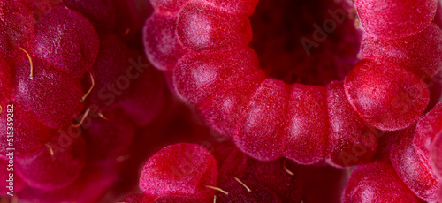 Fresh raspberries close up, macro © Ekaterina