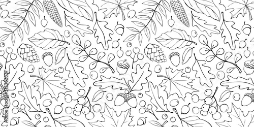 Seamless pattern falling leaves, acorns, berries, cones. Vector autumn texture isolated on white, hand drawn in doodle style, black outline. Concept of forest, leaf fall, nature, thanksgiving