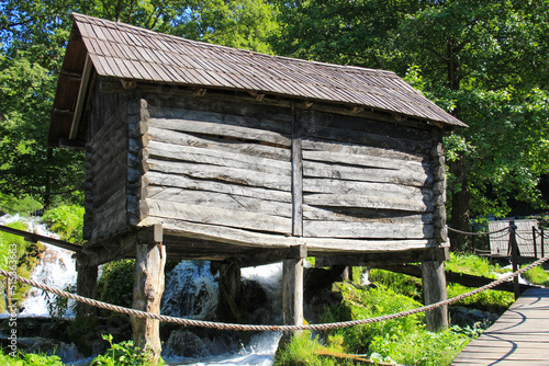 wooden house in the forest