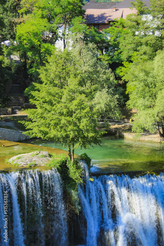 river and forest