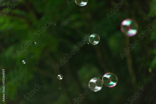 Wallpaper Mural シャボン玉 Torontodigital.ca