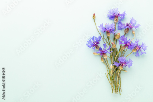 Fototapeta Naklejka Na Ścianę i Meble -  Alternative Medicine. Centaurea cyanus, Cornflower Herb capsule, Nutritional Supplement.