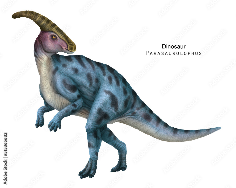 Parasaurolophus illustration. Blue Dinosaur, herbivorous ornithopod