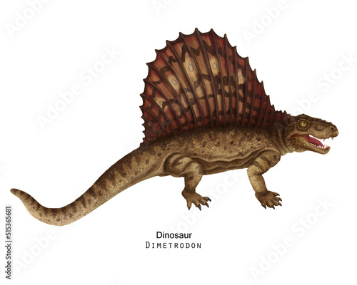 Brown Dimetrodon illustration. Sail-backed Dinosaur  brown crest on back.