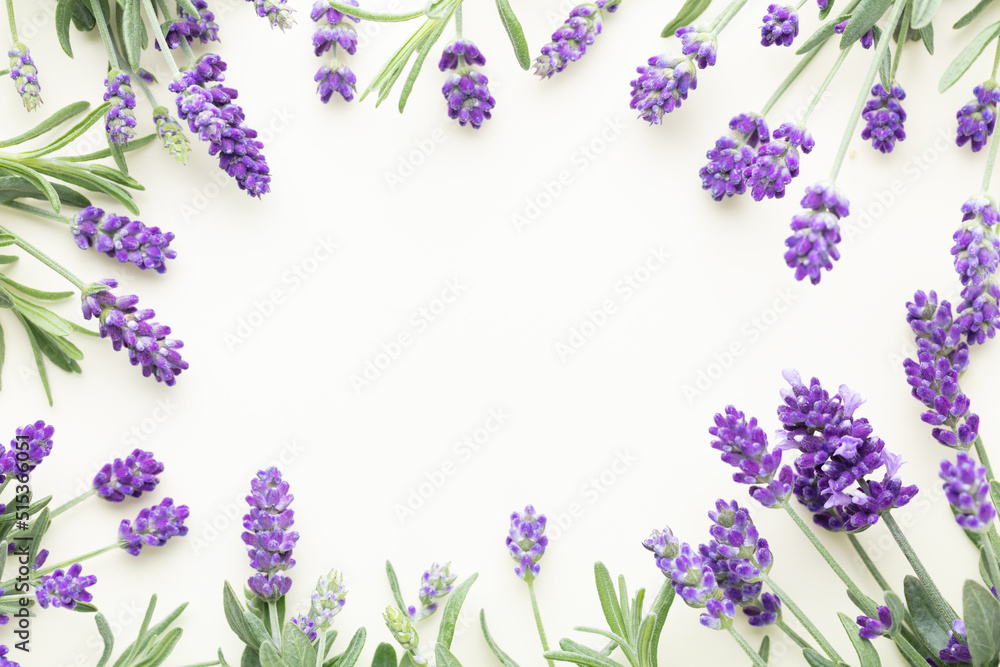 Flowers composition, frame made of lavender flowers on pastel background.