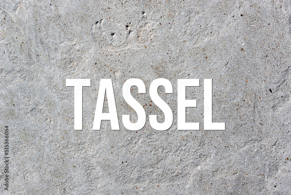 TASSEL - word on concrete background. Cement floor, wall. TASSEL - word on concrete background. Cement floor, wall.