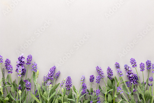 Fototapeta Naklejka Na Ścianę i Meble -  Flowers composition, frame made of lavender flowers on pastel background.