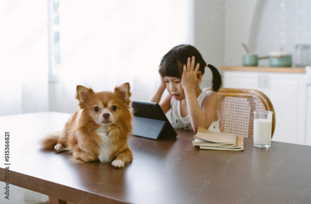 Asian little girl with her dog learning online with pensive expression do homework difficult while sitting desk in kitchen at home. Serious girl makes homework. Education and technology concept