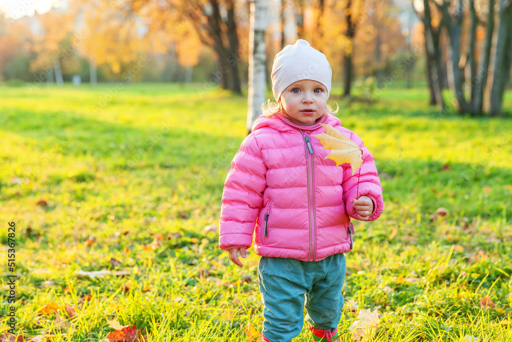 Happy young girl smiling in beautiful autumn park on nature walks outdoors. Little child playing with falling yellow maple leaf in autumn fall orange yellow background. Hello autumn concept Happy young girl smiling in beautiful autumn park on nature walks outdoors. Little child playing with falling yellow maple leaf in autumn fall orange yellow background. Hello autumn concept