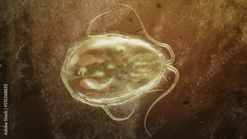 Giardia lamblia parasite as Closup - 3D Rendering photo
