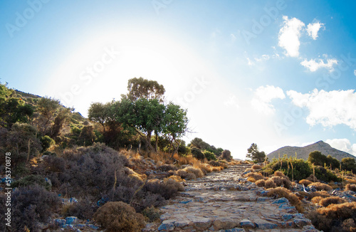 Stone paved path in the mountains, among rocks, trees and dry bushes, Crete island, Greece.