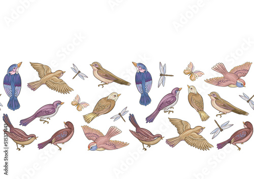 Set off birds sparrow, finches, butterflies and dragonflies. Seamless pattern, background. Hand drawing vector illustration.