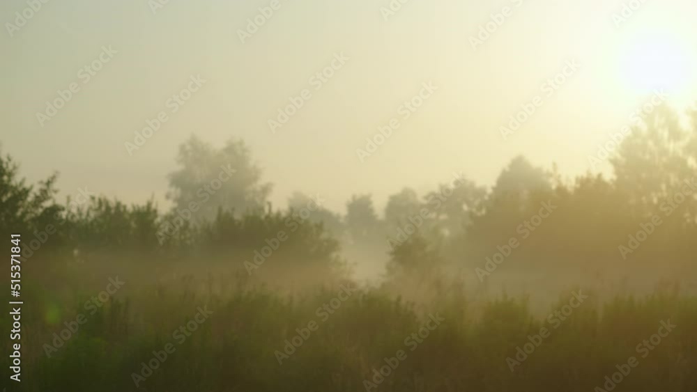 foggy morning field for advertising. High quality 4k footage foggy morning field for advertising. High quality 4k footage