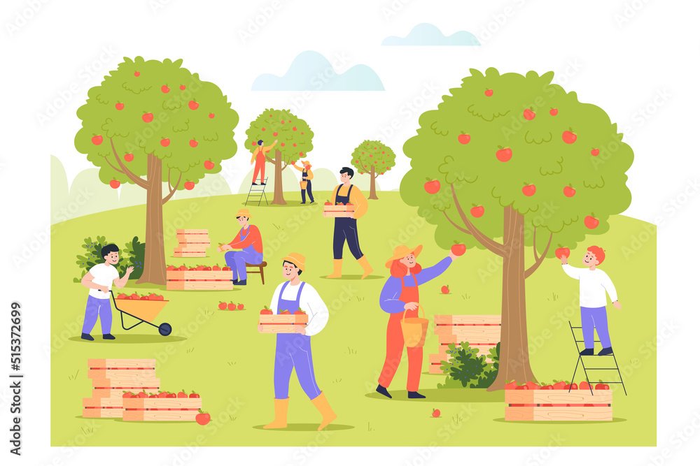 Fototapeta premium People picking apples from trees flat vector illustration. Farmers in uniform reaping harvest in orchard or garden, collecting organic fruits in boxes and carts. Plantation, growth concept