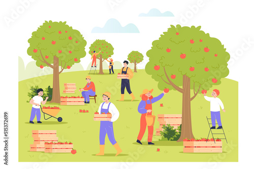 People picking apples from trees flat vector illustration. Farmers in uniform reaping harvest in orchard or garden, collecting organic fruits in boxes and carts. Plantation, growth concept