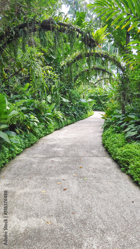 View of the beauty of National Orchid Garden inside Singapore Botanic Gardens.