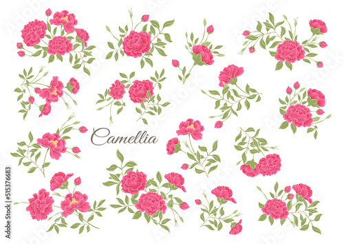 Camellia blossom tree Clip art, set of elements for design Vector illustration. In botanical style Isolated on white background.
