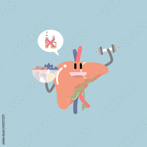 healthy liver, internal organs anatomy body part nervous system, infographic, health care concept, flat character design clip art vector illustration cartoon