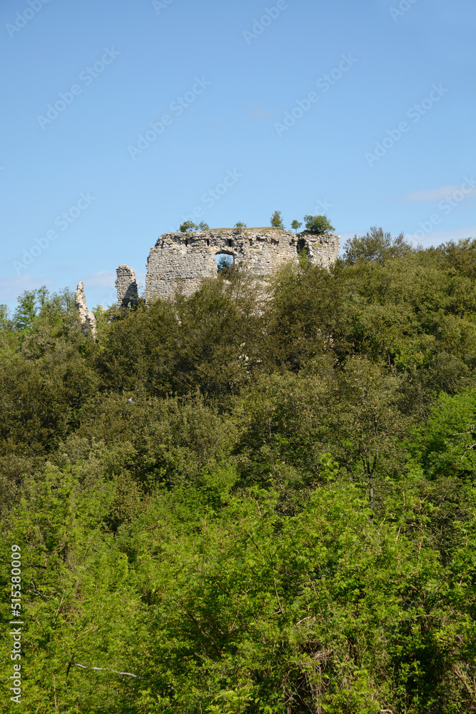 Cesargrad castle